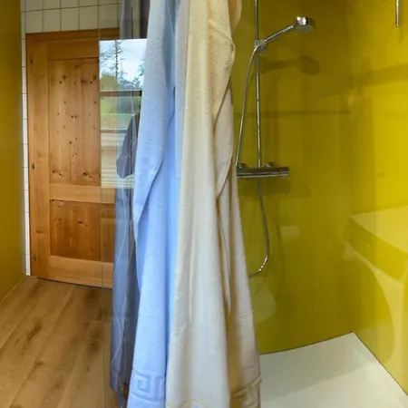 Neu Renoviertes 2zi Im Dg Apartment Feldkirch